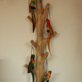 papegaai-hout-stok-kleur